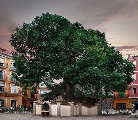 Casa La Herradura Сasa de vacaciones *